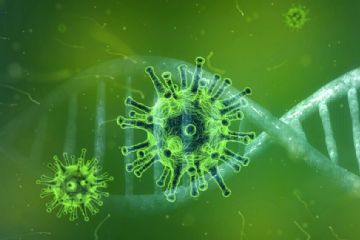 MISURE PER CONTRASTARE/CONTENERE SULL'INTERO TERRITORIO NAZIONALE IL DIFFONDERSI DEL VIRUS COVID-19